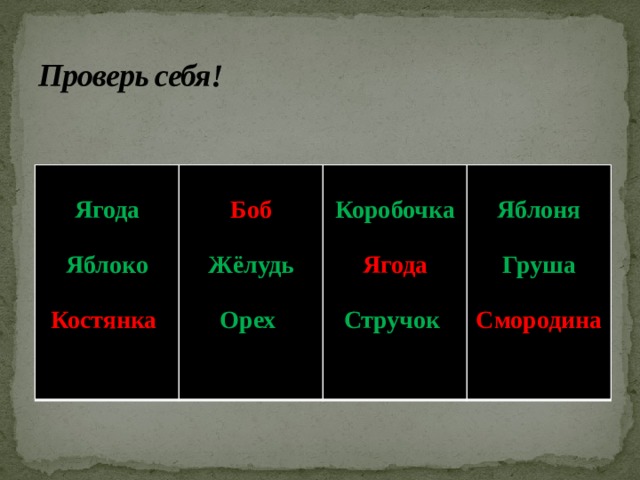 Проверь себя!  Ягода  Боб    Коробочка Яблоко  Жёлудь Яблоня   Костянка Ягода   Орех Груша  Стручок  Смородина  