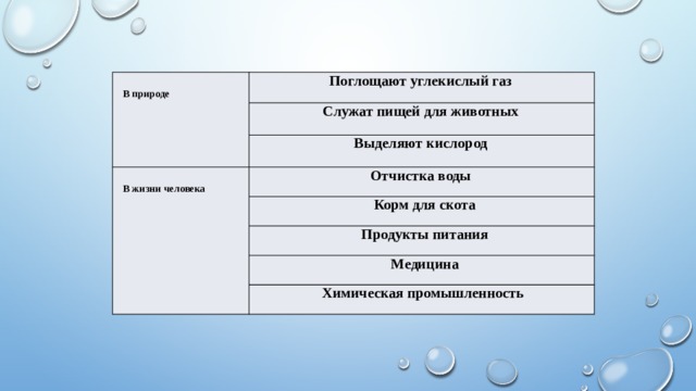В природе Поглощают углекислый газ Служат пищей для животных Выделяют кислород В жизни человека Отчистка воды Корм для скота Продукты питания Медицина Химическая промышленность 