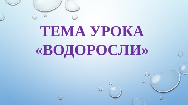 Тема урока «Водоросли» 