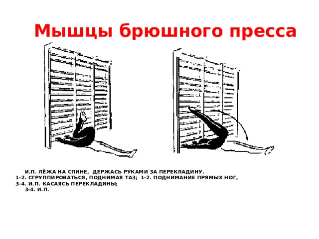 Мышцы брюшного пресса  И.П. лёжа на спине, держась руками за перекладину.  1-2. Сгруппироваться, поднимая таз;  1-2. поднимание прямых ног,   3-4. И.П.      Касаясь перекладины;       3-4. И.П.    