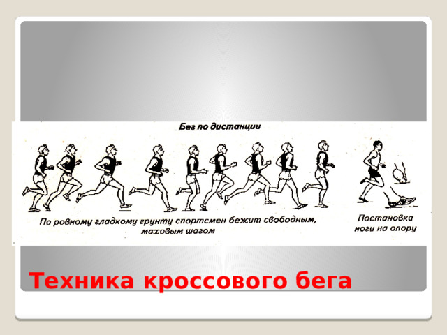 Техника кроссового бега 