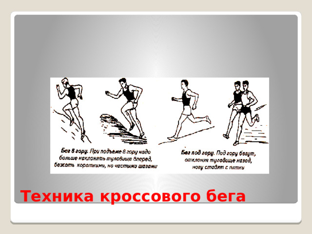 Техника кроссового бега 