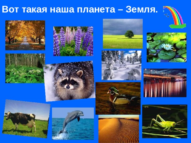 Вот такая наша планета – Земля.  