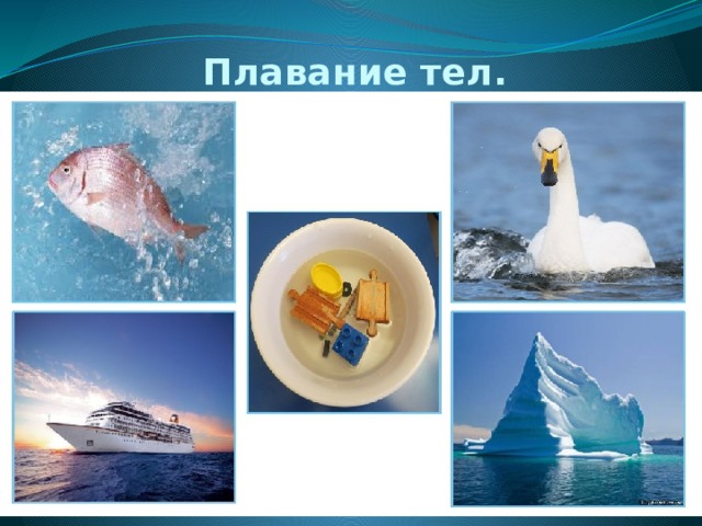Плавание тел. 