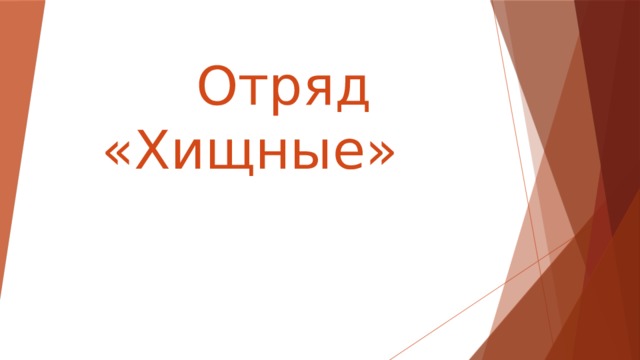  Отряд «Хищные» 