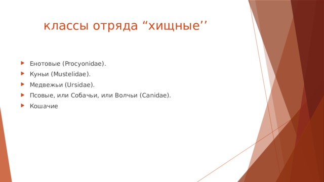  классы отряда “хищные’’ Енотовые (Procyonidae). Куньи (Mustelidae). Медвежьи (Ursidae). Псовые, или Собачьи, или Волчьи (Canidae). Кошачие 