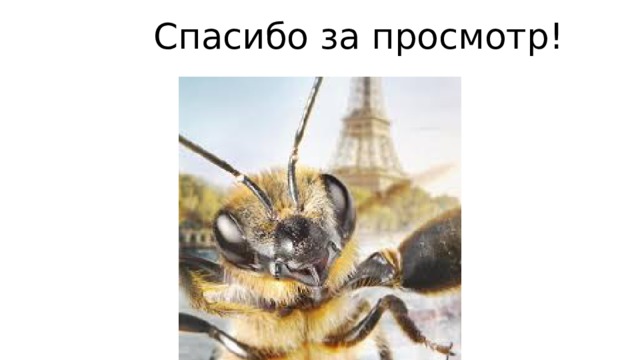 Спасибо за просмотр! 