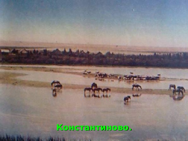 Константиново. 