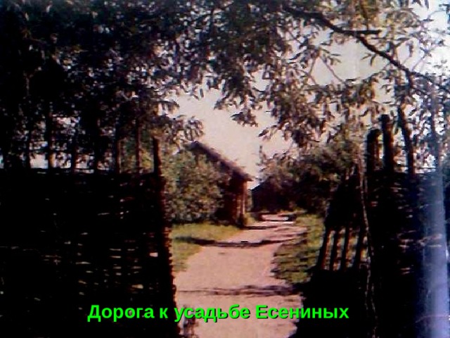 Дорога к усадьбе Есениных 