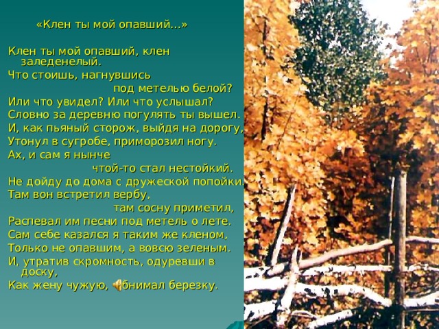  «Клен ты мой опавший…»  Клен ты мой опавший, клен заледенелый.  Что стоишь, нагнувшись  под метелью белой?  Или что увидел? Или что услышал?  Словно за деревню погулять ты вышел.  И, как пьяный сторож, выйдя на дорогу,  Утонул в сугробе, приморозил ногу.  Ах, и сам я нынче  чтой-то стал нестойкий.  Не дойду до дома с дружеской попойки.  Там вон встретил вербу,  там сосну приметил,  Распевал им песни под метель о лете.  Сам себе казался я таким же кленом,  Только не опавшим, а вовсю зеленым.  И, утратив скромность, одуревши в доску,  Как жену чужую, обнимал березку. 