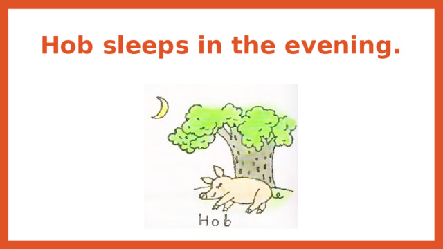 Hob sleeps in the evening. 