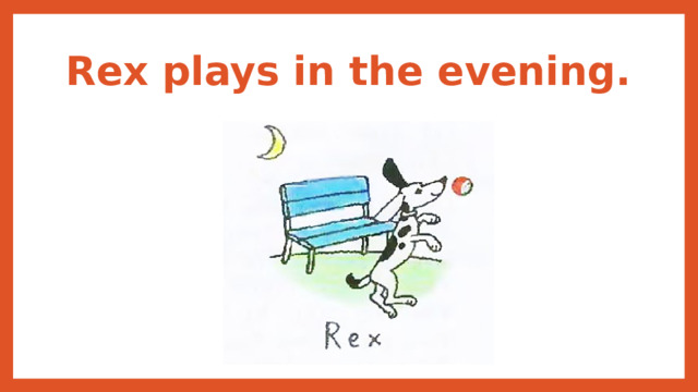 Rex plays in the evening. 