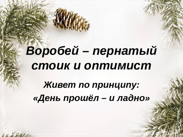 Воробей – пернатый стоик и оптимист Живет по принципу: «День прошёл – и ладно» 