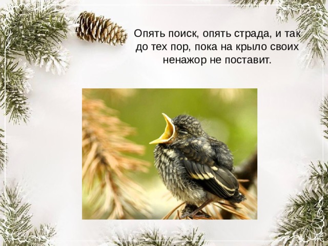 Опять поиск, опять страда, и так до тех пор, пока на крыло своих ненажор не поставит. 
