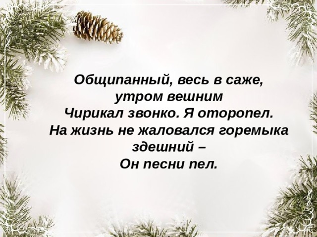 Общипанный, весь в саже, утром вешним  Чирикал звонко. Я оторопел.  На жизнь не жаловался горемыка здешний –  Он песни пел.   