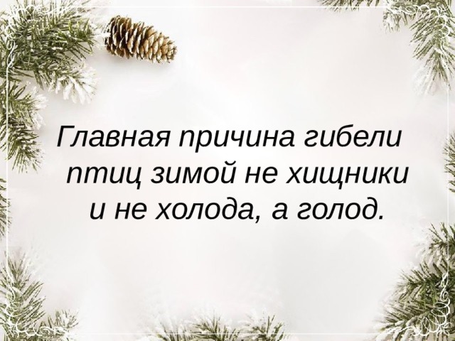Главная причина гибели птиц зимой не хищники и не холода, а голод. 