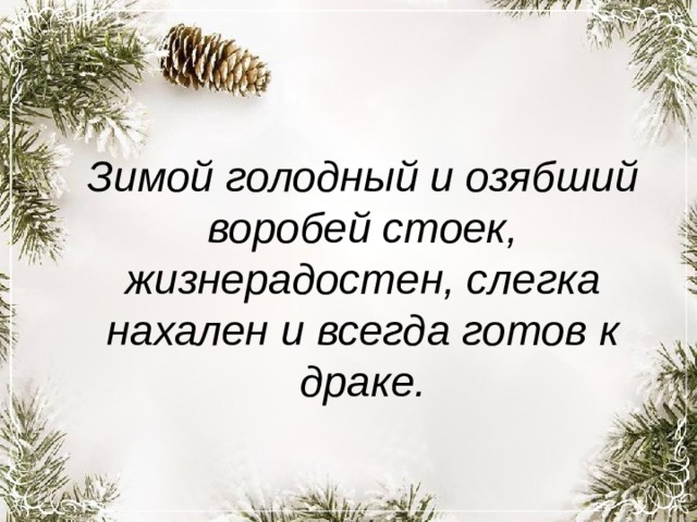 Зимой голодный и озябший воробей стоек, жизнерадостен, слегка нахален и всегда готов к драке. 