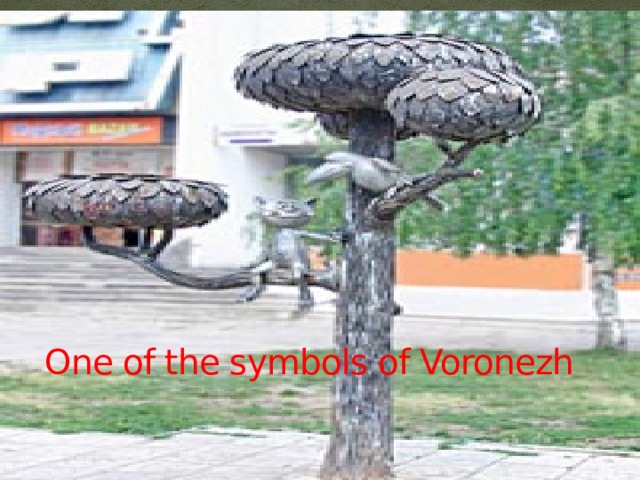One of the symbols of Voronezh This funny monument took it’s origin from a well-known cartoon “A kitten from Lizyukov street”.  