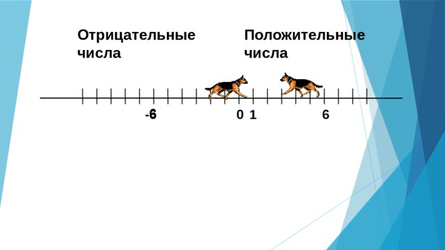 Положительные числа Отрицательные числа  6 6 0 1 -6 