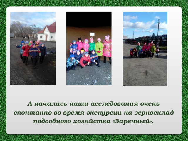 А начались наши исследования очень спонтанно во время экскурсии на зерносклад подсобного хозяйства «Заречный». 
