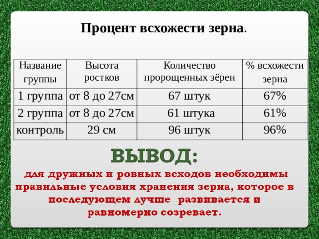 Процент всхожести зерна . Название группы 1 группа Высота ростков от 8 до 27см 2 группа Количество пророщенных зёрен % всхожести зерна 67 штук от 8 до 27см контроль 67% 29 см  61 штука 61% 96 штук 96% 