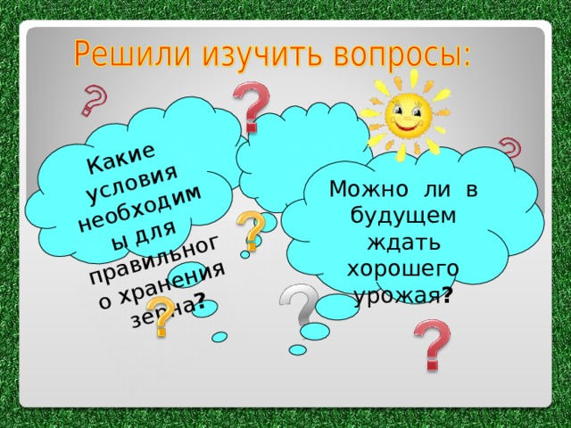 Какие условия необходимы для правильного хранения зерна ? Можно ли в будущем ждать хорошего урожая ? 