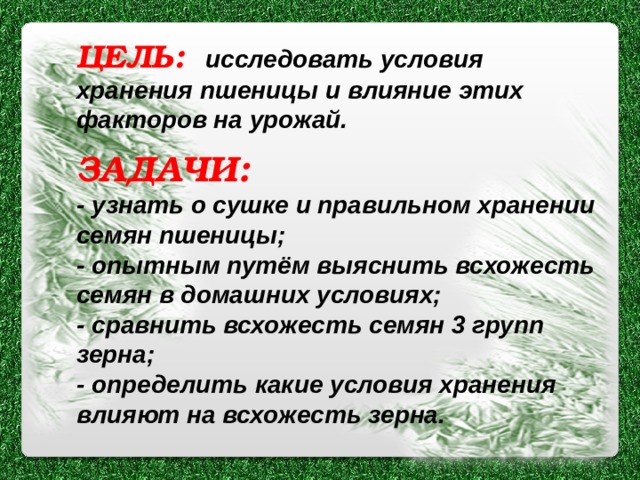 ЦЕЛЬ: исследовать условия хранения пшеницы и влияние этих факторов на урожай.  ЗАДАЧИ: - узнать о сушке и правильном хранении семян пшеницы; - опытным путём выяснить всхожесть семян в домашних условиях; - сравнить всхожесть семян 3 групп зерна; - определить какие условия хранения влияют на всхожесть зерна. 