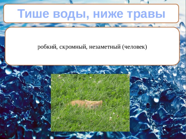 Тише воды, ниже травы робкий, скромный, незаметный (человек) 