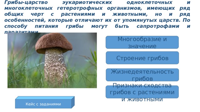Грибы-царство эукариотических одноклеточных и многоклеточных гетеротрофных организмов, имеющих ряд общих черт с растениями и животными, но и ряд особенностей, которые отличают их от упомянутых царств. По способу питания грибы могут быть сапротрофами и паразитами. Многообразие и значение Строение грибов Жизнедеятельность грибов Признаки сходства грибов с растениями и животными Кейс с заданиями 