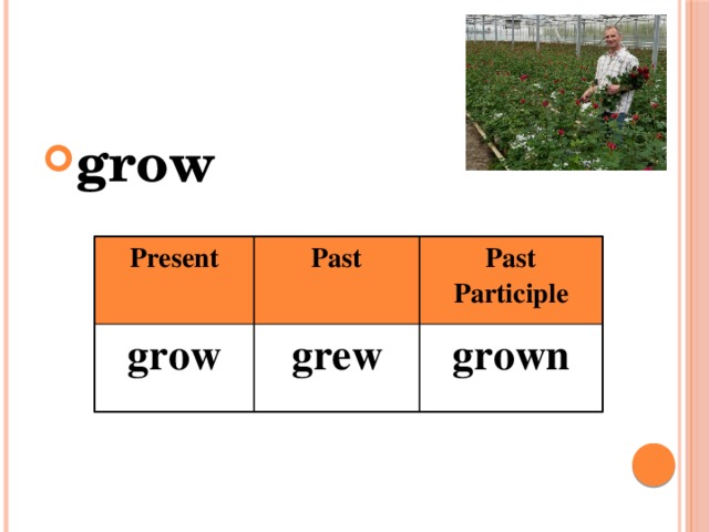 grow Present grow Past Past Participle grew grown 