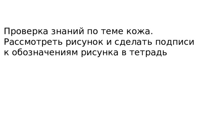 Проверка знаний по теме кожа. Рассмотреть рисунок и сделать подписи к обозначениям рисунка в тетрадь 