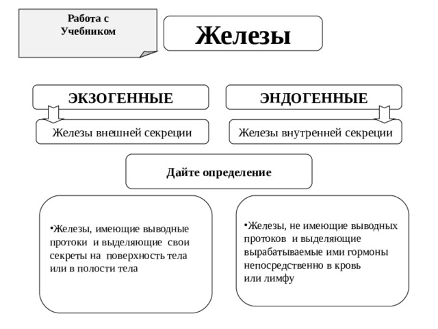 Работа с Учебником  Железы ЭКЗОГЕННЫЕ ЭНДОГЕННЫЕ Железы внешней секреции Железы внутренней секреции Дайте определение Железы, имеющие выводные Железы, не имеющие выводных протоки и выделяющие свои секреты на поверхность тела или в полости тела протоков и выделяющие вырабатываемые ими гормоны непосредственно в кровь или лимфу 