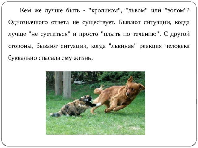 Кем же лучше быть - 