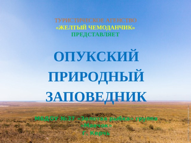  ТУРИСТИЧЕСКОЕ АГЕНСТВО  «ЖЕЛТЫЙ ЧЕМОДАНЧИК»  ПРЕДСТАВЛЯЕТ     ОПУКСКИЙ ПРИРОДНЫЙ ЗАПОВЕДНИК  МБДОУ №37 «Золотая рыбка» группа «Маячок» Г. Керчь 