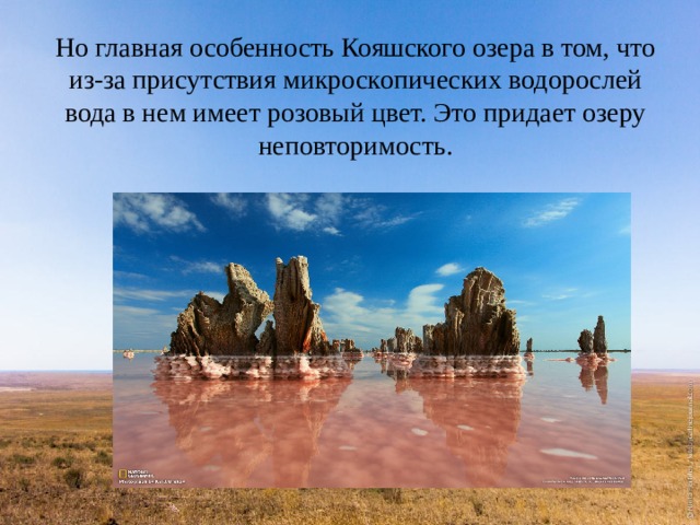 Но главная особенность Кояшского озера в том, что из-за присутствия микроскопических водорослей вода в нем имеет розовый цвет. Это придает озеру неповторимость. 