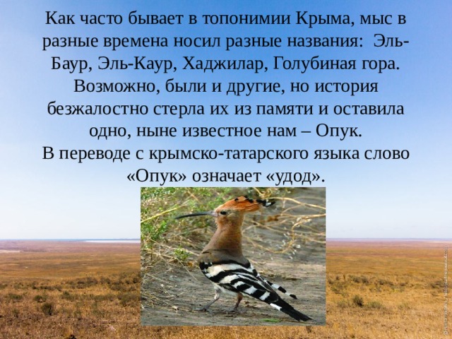 Как часто бывает в топонимии Крыма, мыс в разные времена носил разные названия:  Эль-Баур, Эль-Каур, Хаджилар, Голубиная гора. Возможно, были и другие, но история безжалостно стерла их из памяти и оставила одно, ныне известное нам – Опук.  В переводе с крымско-татарского языка слово «Опук» означает «удод». 