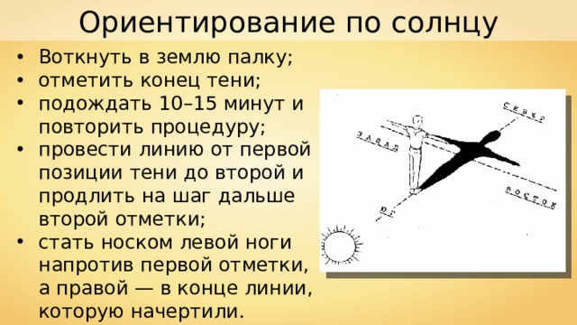 Ориентирование по солнцу Воткнуть в землю палку; отметить конец тени; подождать 10 – 15 минут и повторить процедуру; провести линию от первой позиции тени до второй и продлить на шаг дальше второй отметки; стать носком левой ноги напротив первой отметки, а правой — в конце линии, которую начертили. 