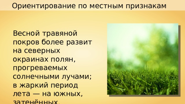Ориентирование по местным признакам Весной травяной покров более развит на северных окраинах полян, прогреваемых солнечными лучами; в жаркий период лета — на южных, затенённых. 