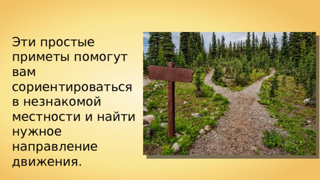 Эти простые приметы помогут вам сориентироваться в незнакомой местности и найти нужное направление движения. 