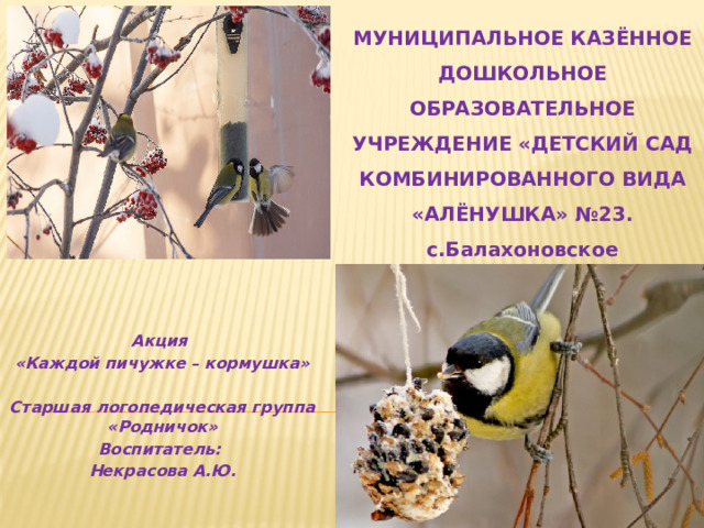 МУНИЦИПАЛЬНОЕ КАЗЁННОЕ ДОШКОЛЬНОЕ ОБРАЗОВАТЕЛЬНОЕ УЧРЕЖДЕНИЕ «ДЕТСКИЙ САД КОМБИНИРОВАННОГО ВИДА «АЛЁНУШКА» №23. с.Балахоновское    Акция «Каждой пичужке – кормушка»  Старшая логопедическая группа «Родничок» Воспитатель: Некрасова А.Ю.   