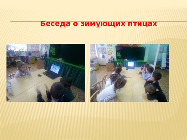  Беседа о зимующих птицах 