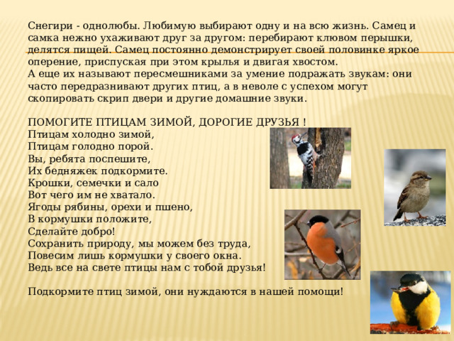 Снегири - однолюбы. Любимую выбирают одну и на всю жизнь. Самец и самка нежно ухаживают друг за другом: перебирают клювом перышки, делятся пищей. Самец постоянно демонстрирует своей половинке яркое оперение, приспуская при этом крылья и двигая хвостом. А еще их называют пересмешниками за умение подражать звукам: они часто передразнивают других птиц, а в неволе с успехом могут скопировать скрип двери и другие домашние звуки. ПОМОГИТЕ ПТИЦАМ ЗИМОЙ, ДОРОГИЕ ДРУЗЬЯ ! Птицам холодно зимой, Птицам голодно порой. Вы, ребята поспешите, Их бедняжек подкормите. Крошки, семечки и сало Вот чего им не хватало. Ягоды рябины, орехи и пшено, В кормушки положите, Сделайте добро! Сохранить природу, мы можем без труда, Повесим лишь кормушки у своего окна. Ведь все на свете птицы нам с тобой друзья! Подкормите птиц зимой, они нуждаются в нашей помощи! 