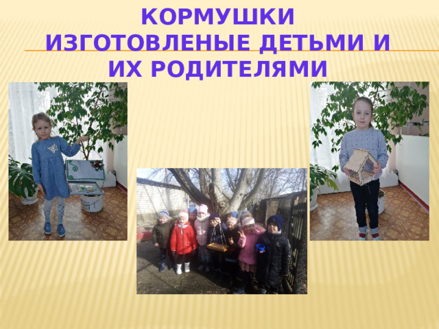 КОРМУШКИ ИЗГОТОВЛЕНЫЕ ДЕТЬМИ И ИХ РОДИТЕЛЯМИ 