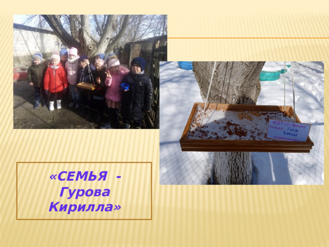 «СЕМЬЯ - Гурова Кирилла» 