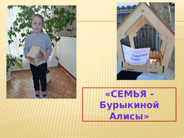 «СЕМЬЯ - Бурыкиной Алисы» 
