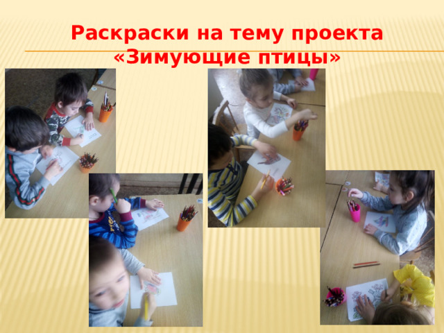 Раскраски на тему проекта «Зимующие птицы» 