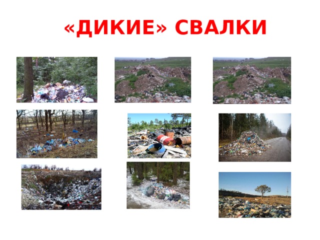«ДИКИЕ» СВАЛКИ 