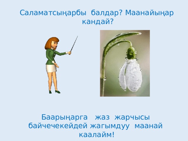 Саламатсыңарбы балдар? Маанайыңар кандай? Баарыңарга жаз жарчысы байчечекейдей жагымдуу маанай каалайм! 