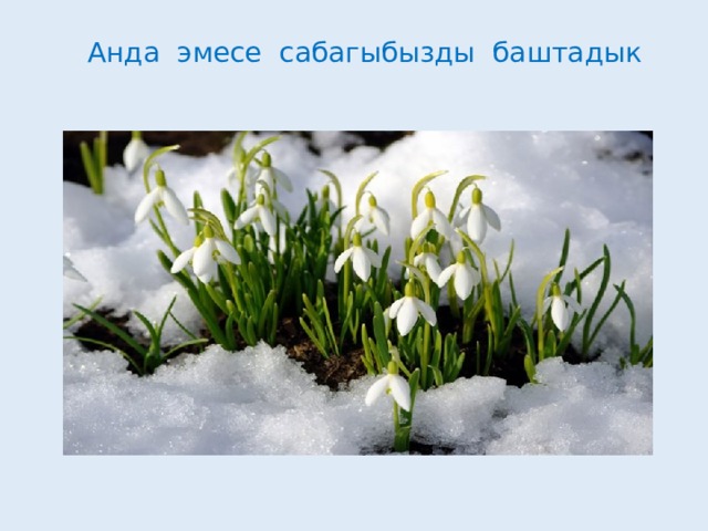 Анда эмесе сабагыбызды баштадык 