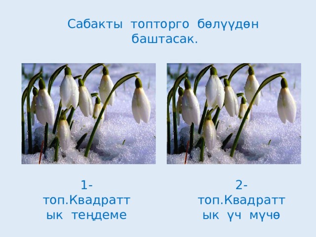 Сабакты топторго бөлүүдөн баштасак. 1-топ.Квадраттык теңдеме 2-топ.Квадраттык үч мүчө 